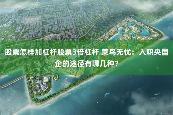 股票怎样加杠杆股票3倍杠杆 菜鸟无忧：入职央国企的途径有哪几种？