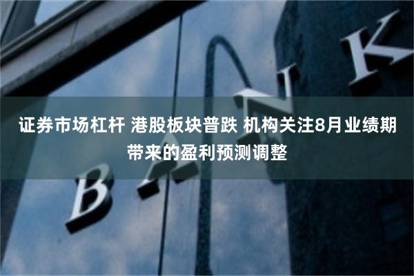 证券市场杠杆 港股板块普跌 机构关注8月业绩期带来的盈利预测调整