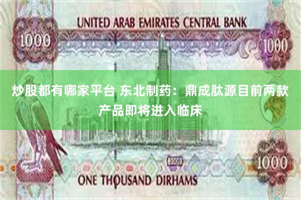 炒股都有哪家平台 东北制药：鼎成肽源目前两款产品即将进入临床