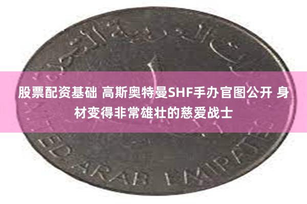 股票配资基础 高斯奥特曼SHF手办官图公开 身材变得非常雄壮的慈爱战士