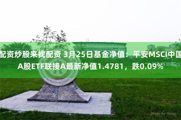 配资炒股来找配资 3月25日基金净值：平安MSCI中国A股ETF联接A最新净值1.4781，跌0.09%