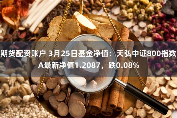 期货配资账户 3月25日基金净值：天弘中证800指数A最新净值1.2087，跌0.08%