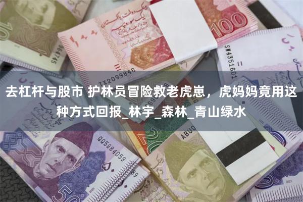 去杠杆与股市 护林员冒险救老虎崽，虎妈妈竟用这种方式回报_林宇_森林_青山绿水