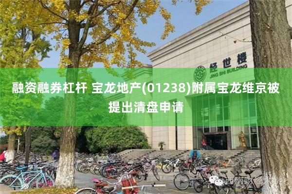 融资融券杠杆 宝龙地产(01238)附属宝龙维京被提出清盘申请