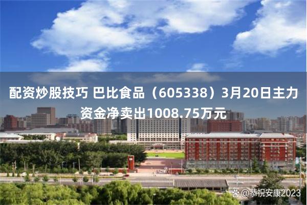 配资炒股技巧 巴比食品（605338）3月20日主力资金净卖出1008.75万元