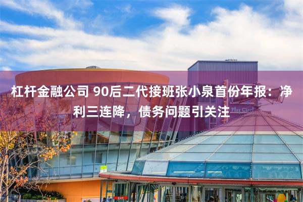 杠杆金融公司 90后二代接班张小泉首份年报：净利三连降，债务问题引关注