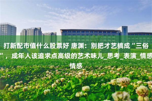 打新配市值什么股票好 唐渊：别把才艺搞成“三俗”，成年人该追求点高级的艺术味儿_思考_表演_情感