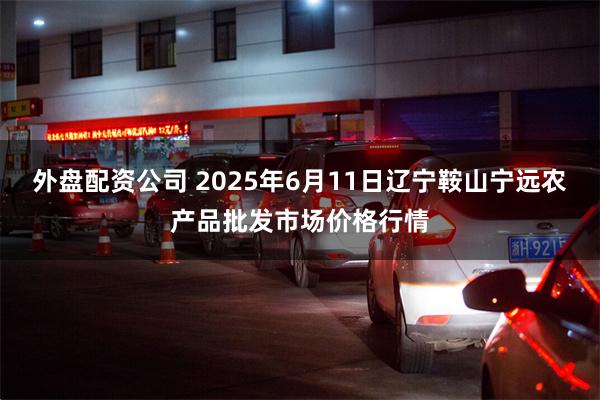 外盘配资公司 2025年6月11日辽宁鞍山宁远农产品批发市场价格行情