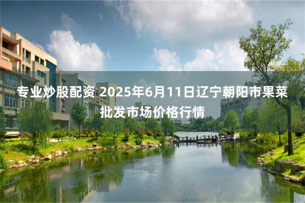 专业炒股配资 2025年6月11日辽宁朝阳市果菜批发市场价格行情