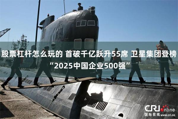 股票杠杆怎么玩的 首破千亿跃升55席 卫星集团登榜“2025中国企业500强”