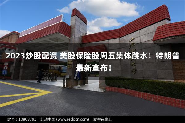 2023炒股配资 美股保险股周五集体跳水！特朗普 最新宣布！