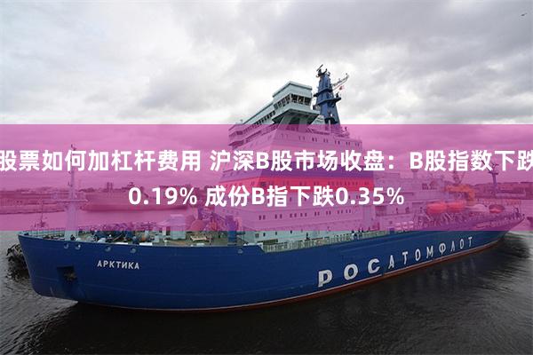股票如何加杠杆费用 沪深B股市场收盘：B股指数下跌0.19% 成份B指下跌0.35%