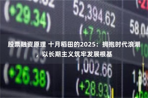 股票融资原理 十月稻田的2025：拥抱时代浪潮，以长期主义筑牢发展根基